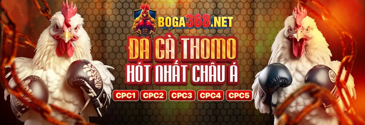 Đá Gà Trực Tuyến Ga 65